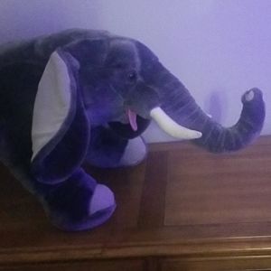 Plush Elephant